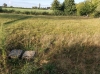 thumb_2268_terrain b.jpg